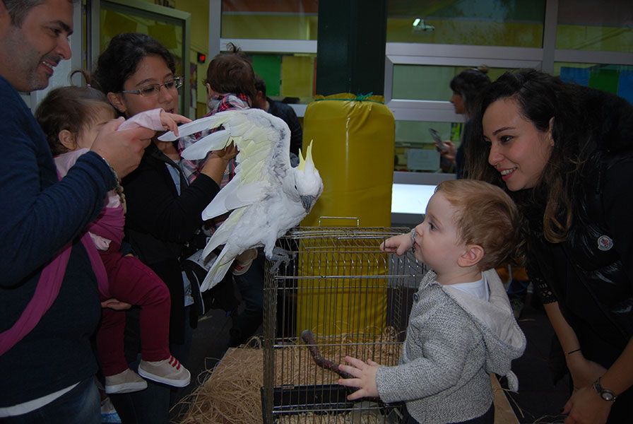 We hosted our animal friends at the I Grew Up Party