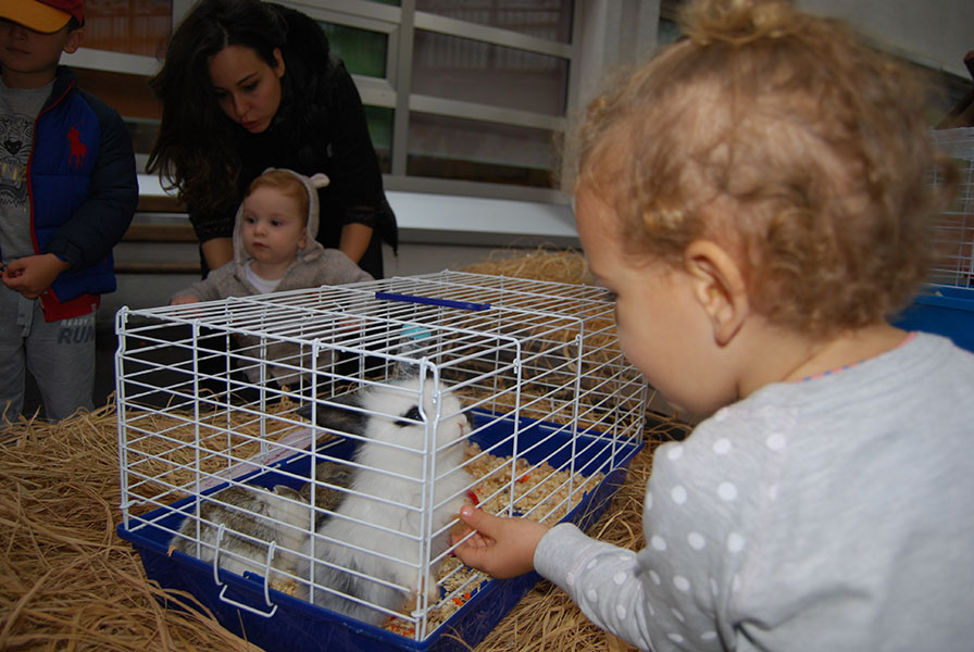We hosted our animal friends at the I Grew Up Party