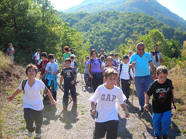 Trekking Yürüyüşleri